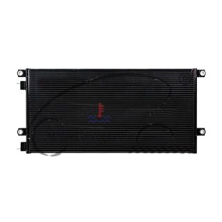 ACVO60116P